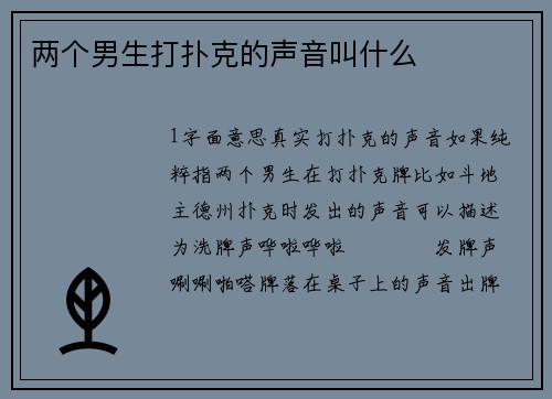 两个男生打扑克的声音叫什么